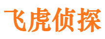 新宁市婚外情取证